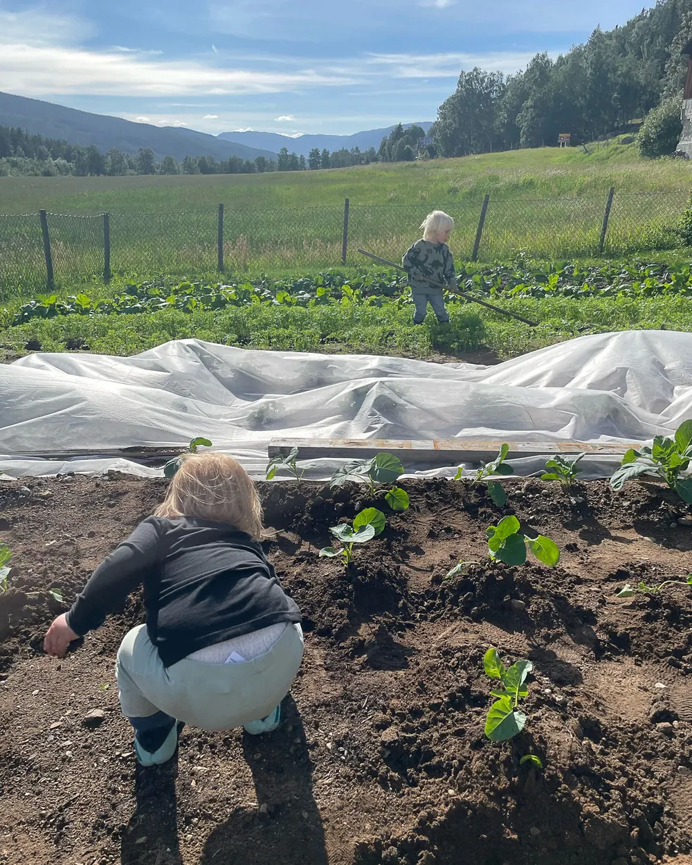 To små barn i kjøkkenhagen en sommerkveld. Det ene sitter på huk i den mørke jorda mellom nyplantede småplanter, det andre står lenger bak med ei rive. Dalen og åsene ses i bakgrunnen.
